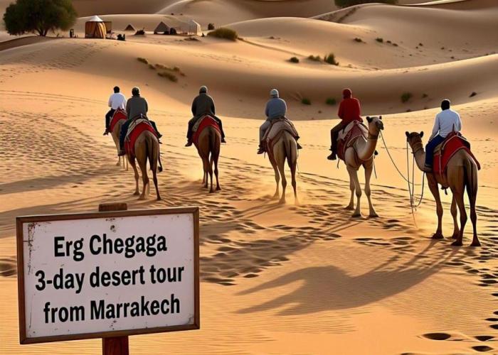 Excreción erg chegaga 2 jour départ zagora 4x4