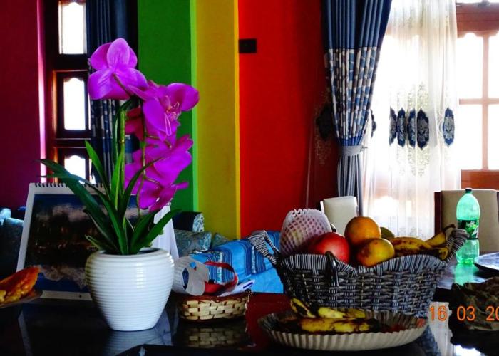 Dragon Homestay