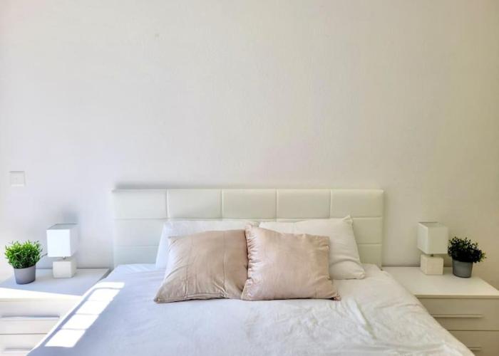 Apartment PALMA - Central & Cozy with Free Private Parking