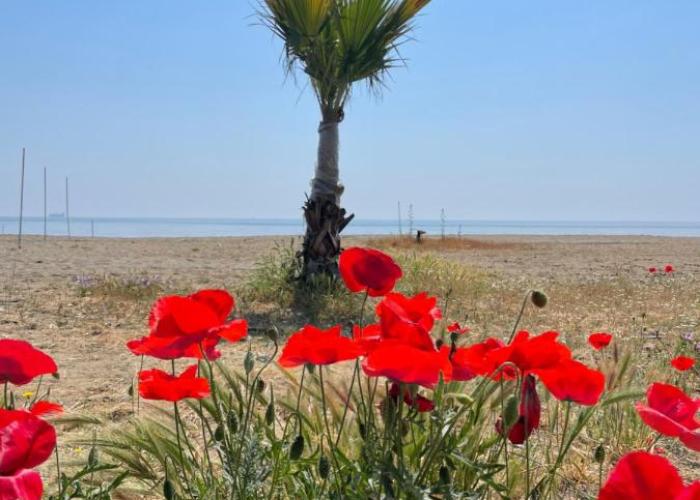 NOVA PORT Boutique Hotel