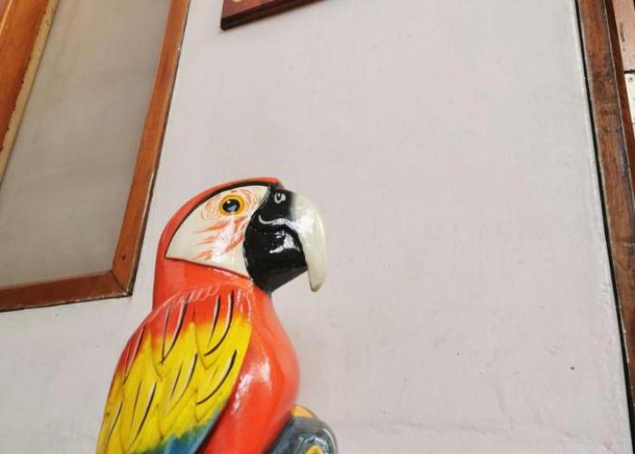 Casa Amazónica Iquitos