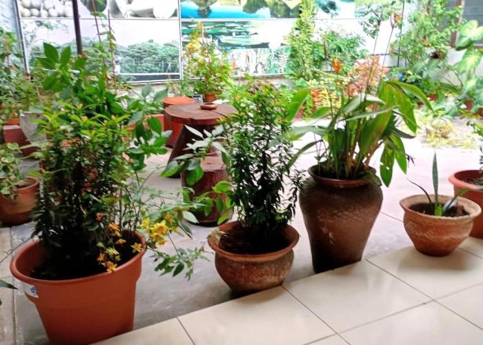 Casa Amazónica Iquitos