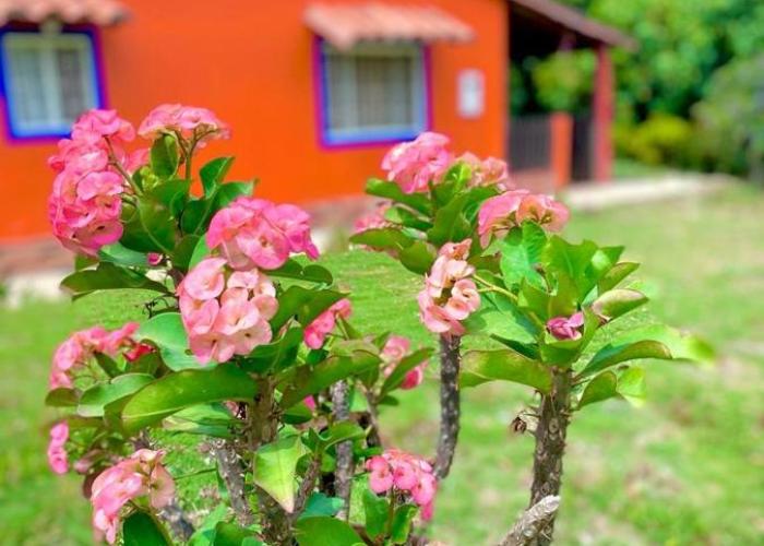 Finca el Paraíso