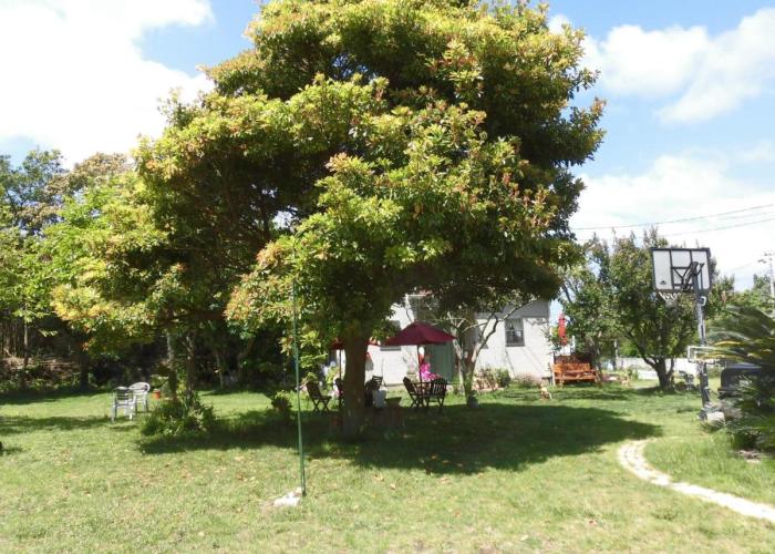 Pension Alba - Vacation STAY 70972v