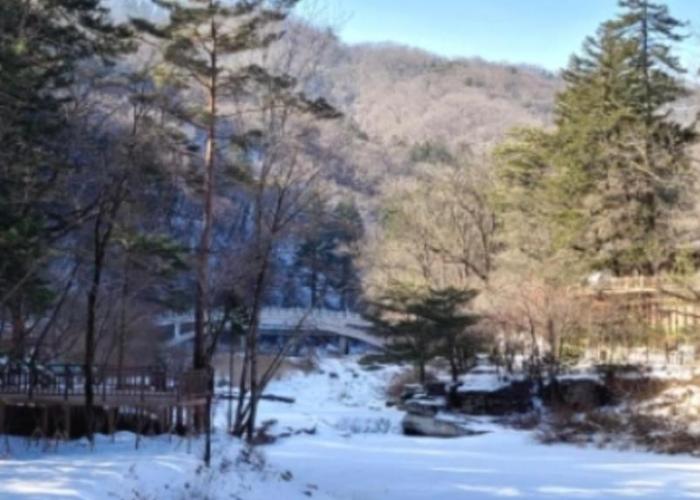 Gilson Story Pension