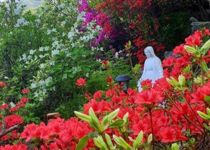 Gilson Story Pension