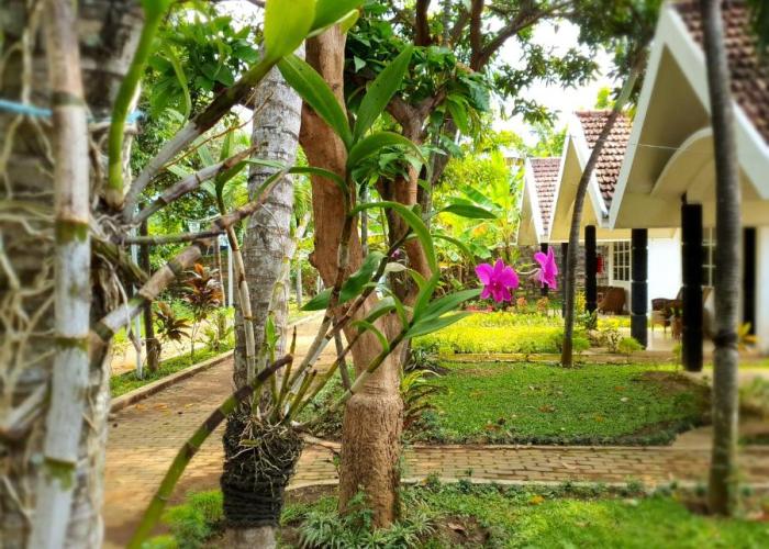 Tengger Guesthouse