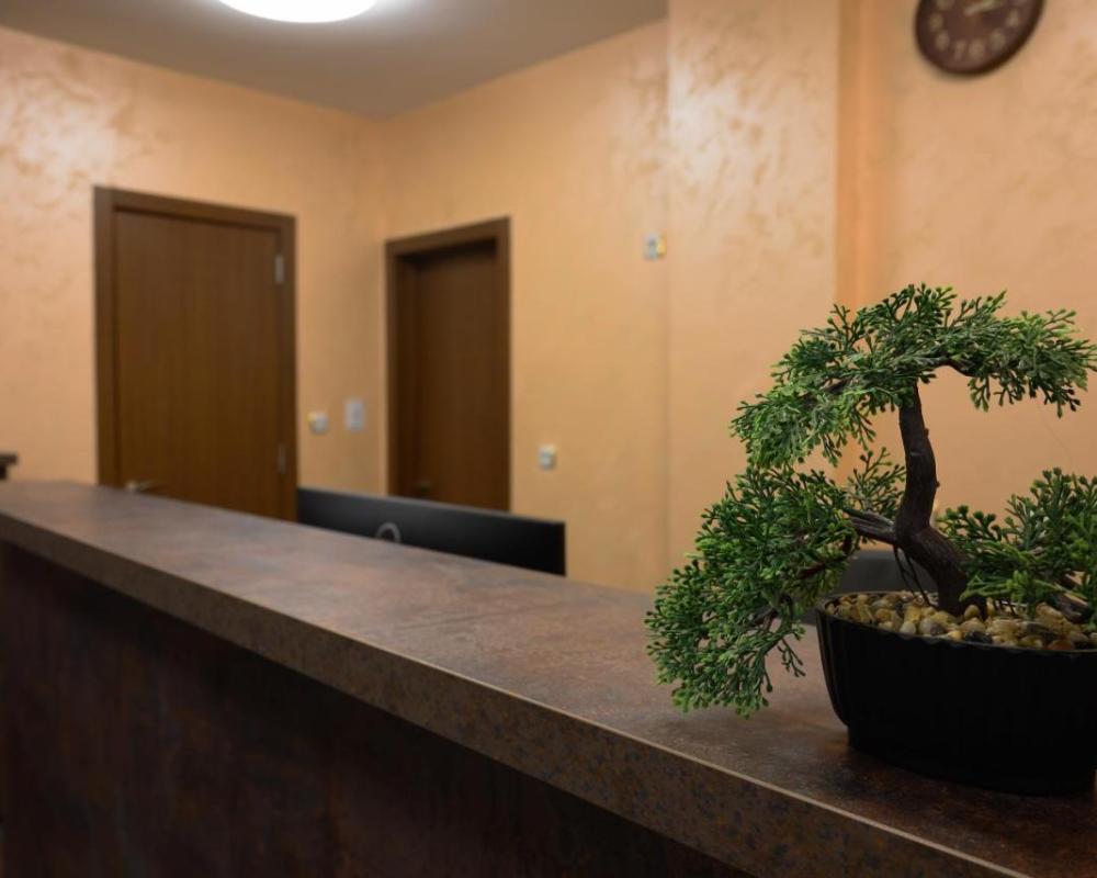 фото Hotel Leda