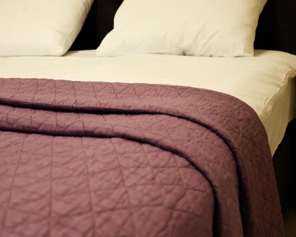 фото Hotel Leda