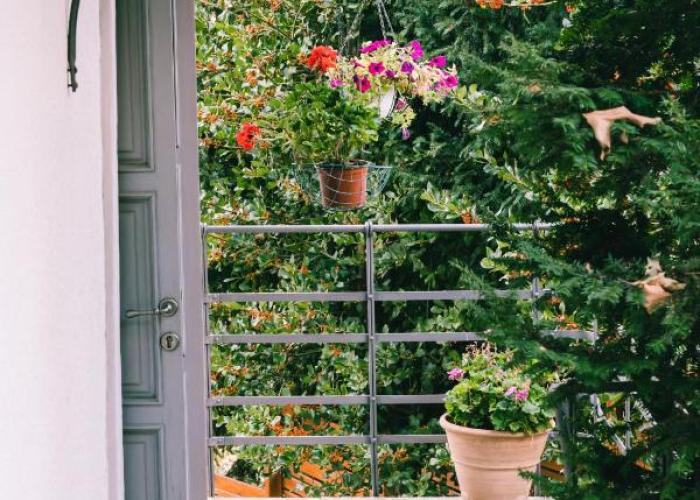 Rustic Rose - Private Premium house