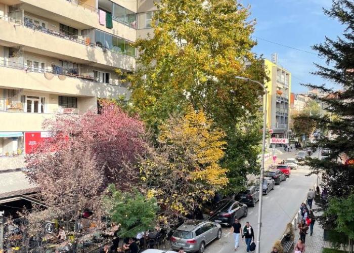 Sunny & Bright Central