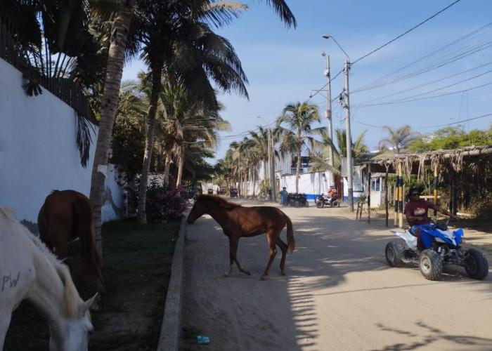 Los Almendros Mancora