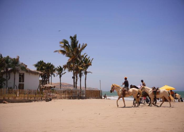 Los Almendros Mancora