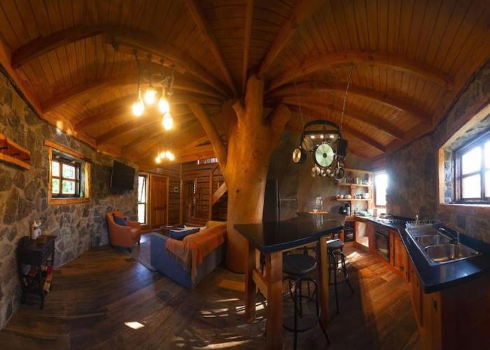 Encantadora Casa del Árbol en el Valle del Elqui!