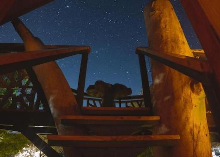 Encantadora Casa del Árbol en el Valle del Elqui!