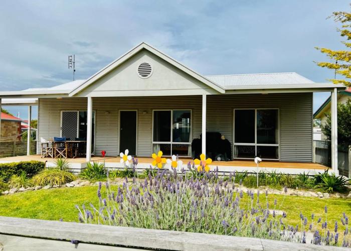 SUMMER DAYSIES - Pet Friendly WiFi