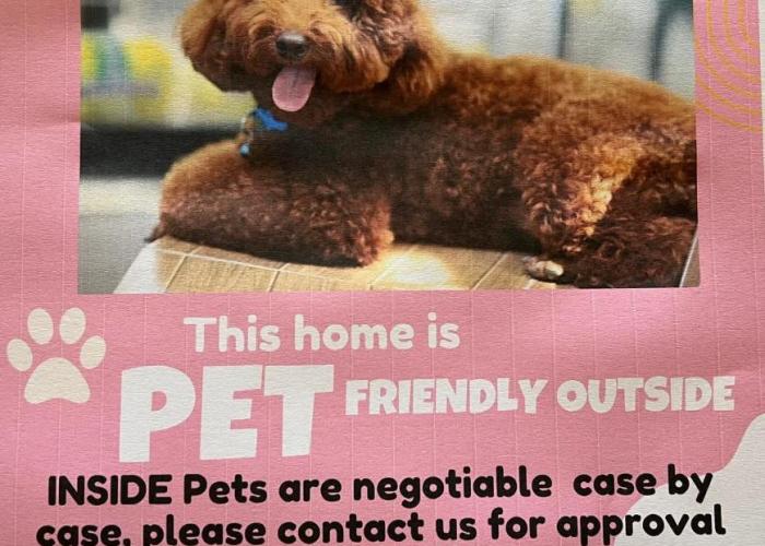 SUMMER DAYSIES - Pet Friendly WiFi