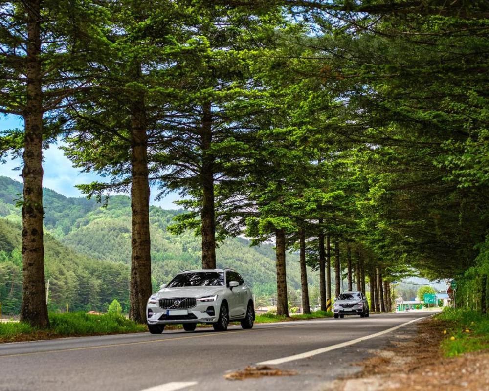 фото Odaesan Moonlight