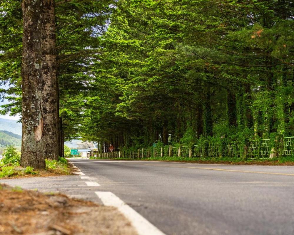 фото Odaesan Moonlight