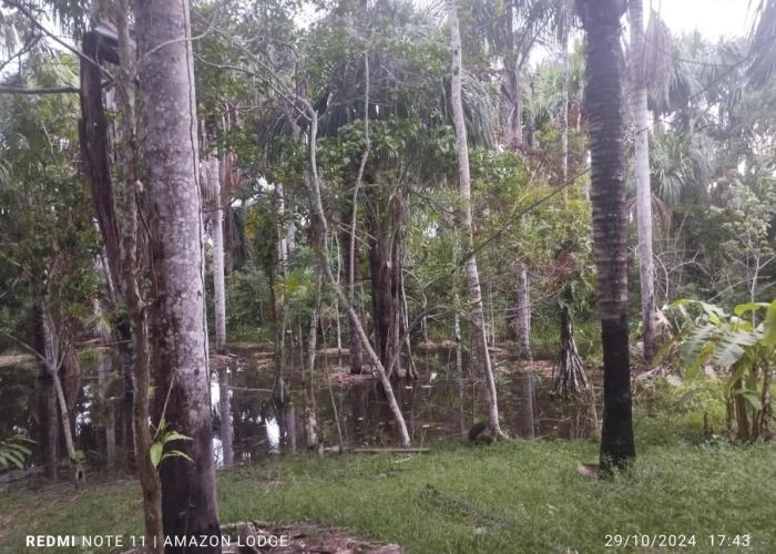Amazon Lodge Varillal