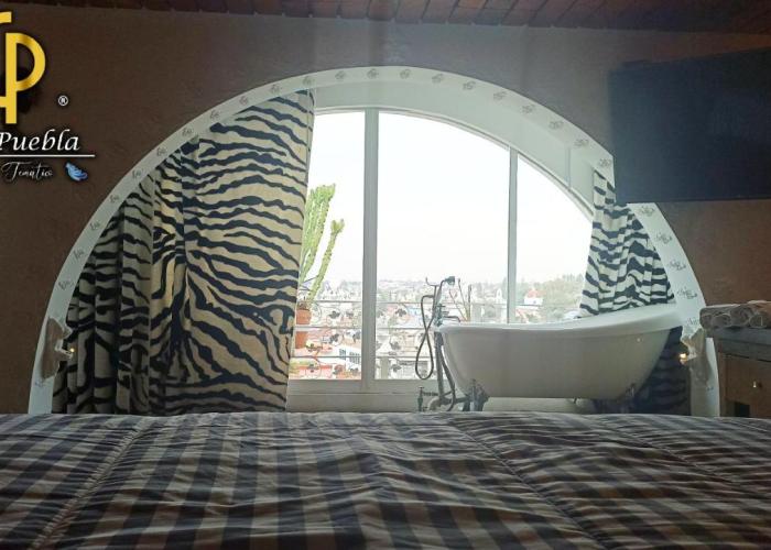 Casa Puebla Hotel Boutique