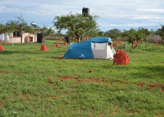Wild Amboseli Ndovu Cottage.