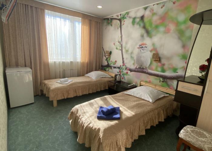 Sad Mini-Hotel