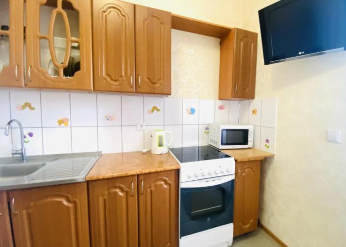 Apartment North on Sovetskaya str., 108
