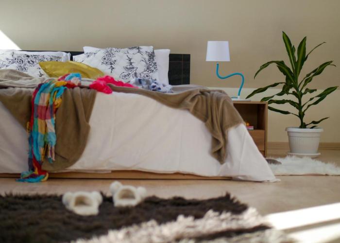 Altavista mountain apartment
