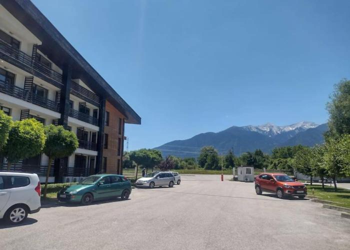 Студио Пацо и Нина в AspenValley