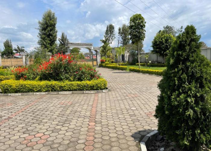 Virunga Homestayz