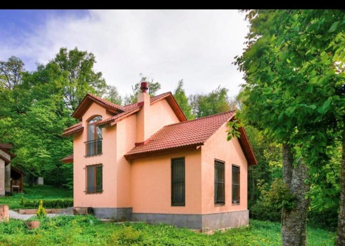 Dilijan Dream House