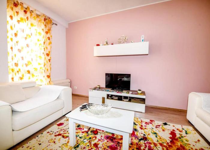 Shahini Home