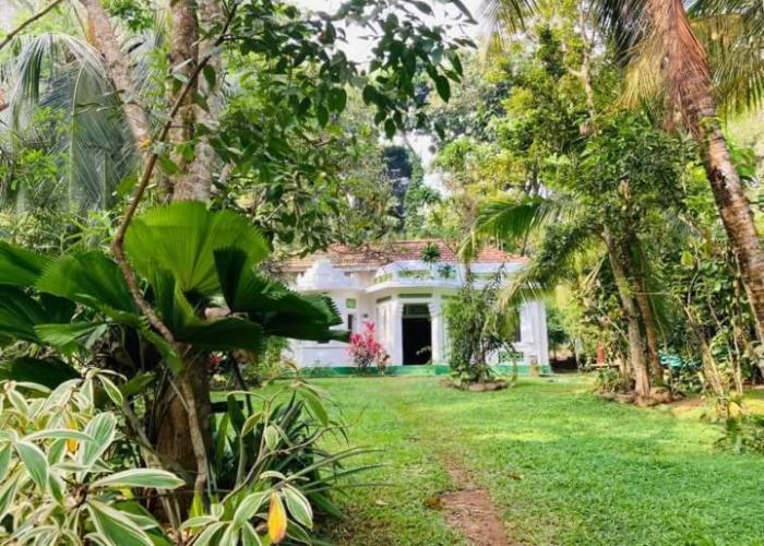 House Colonial