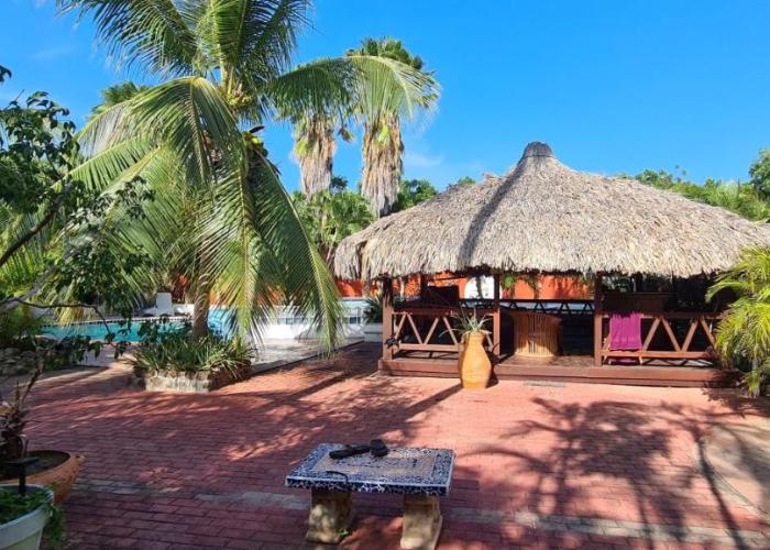 B&B Woodstock Palmresort