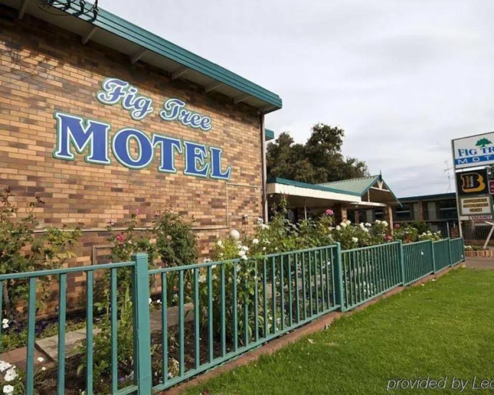фото Fig Tree Motel