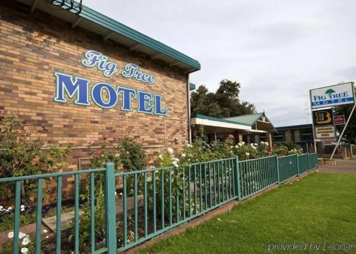 Fig Tree Motel