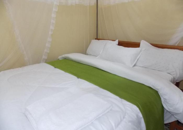 Cloud9 Suites