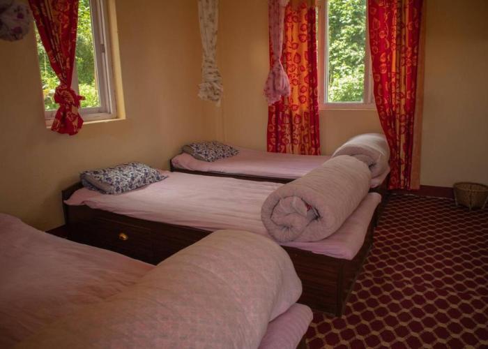 Hasera Organic Farmstay: Farm to Table & Mountain View