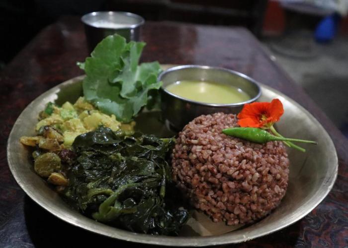 Hasera Organic Farmstay: Farm to Table & Mountain View