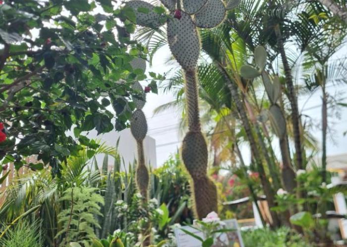 Fernandina Hotel & Spa