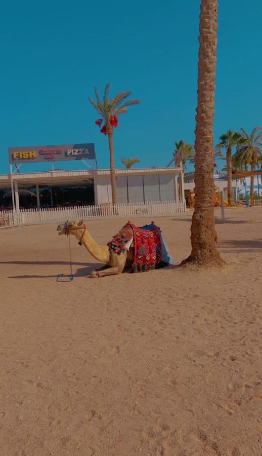 фото Suite at Lililand Resort & Aqua Park