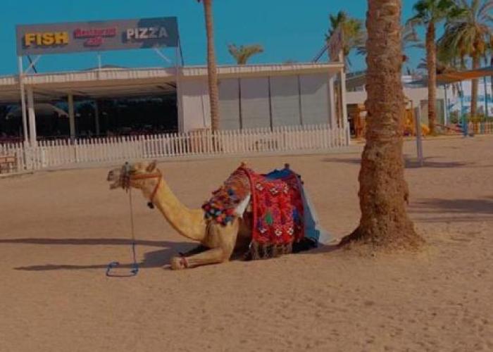 Suite at Lililand Resort & Aqua Park