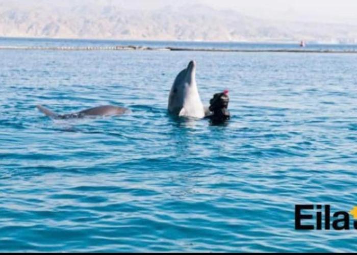 SPACiOUS and COZY 1BR APT EiLAT