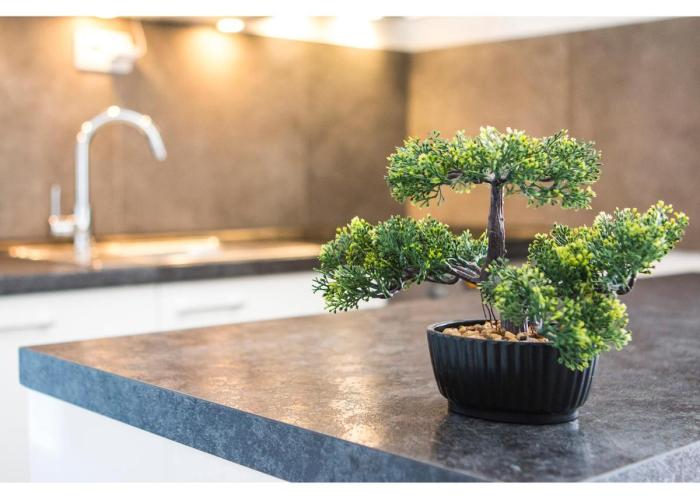Olive Tree Apartments