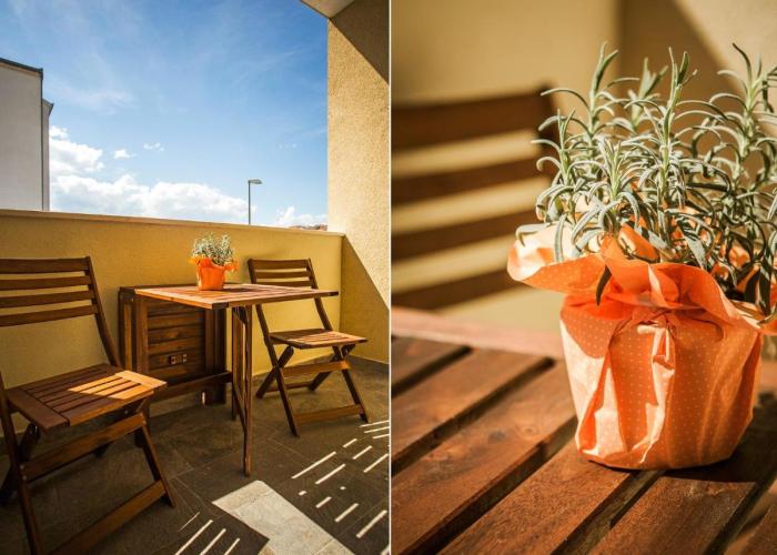 Olive Tree Apartments