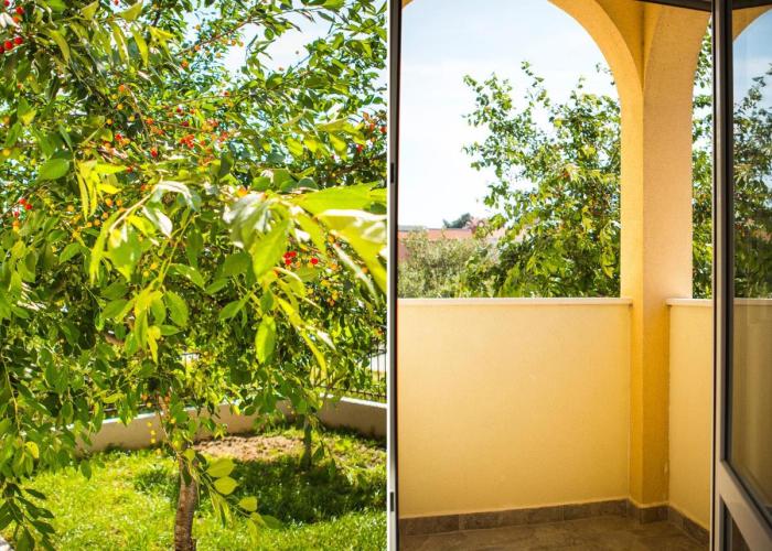 Olive Tree Apartments