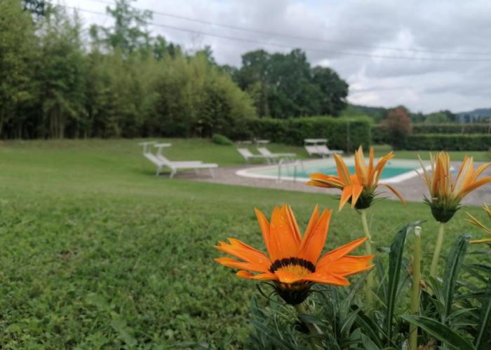 Tenuta il Cipresso