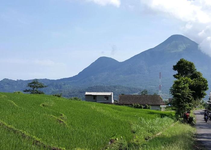 Avila Ketapan Rame Hotel