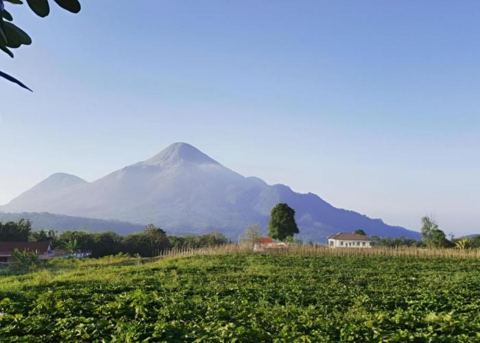 Avila Ketapan Rame Hotel